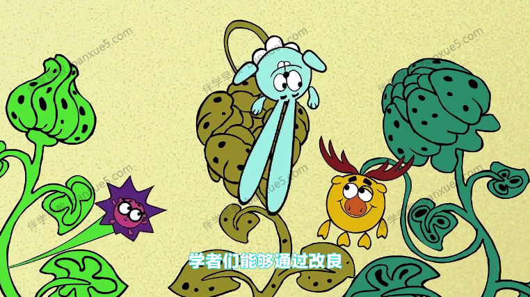 儿童科普动画片《平博士密码》全52集-中文动画-第4张