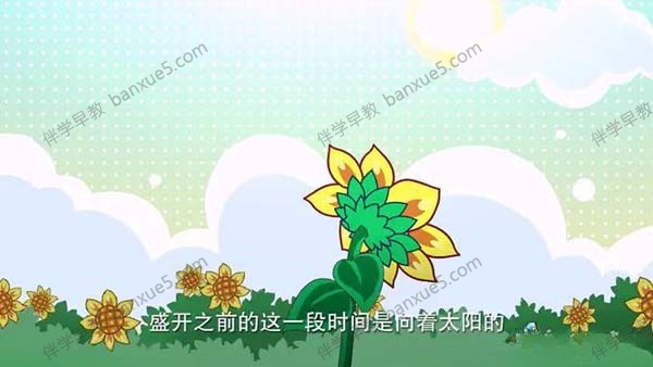 儿童科普类动画片《木奇灵植物科普》全30集-中文动画-第3张
