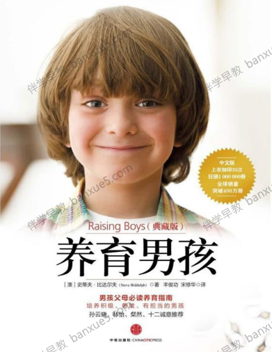 幼儿成长教育《养育男孩》中文版电子书共1册-中文绘本-第1张