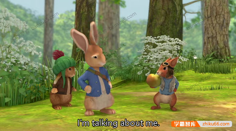 儿童英语启蒙动画《彼得兔Peter Rabbit》中英双语版本第一二季共110集-中文动画-第2张